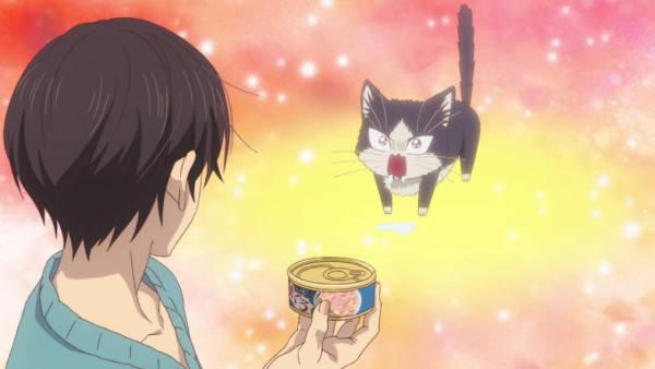 Anime with Cats