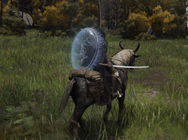 Elden Ring best shields