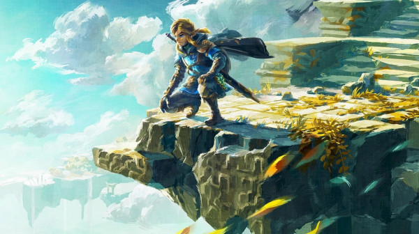 Link in the sky