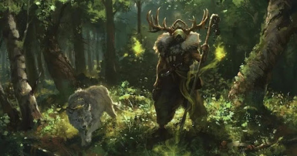 D&D How To Build a Druid