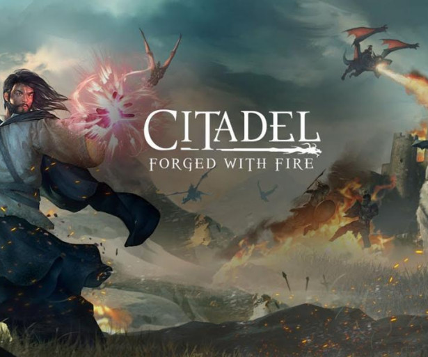 Citadel: Forged with Fire