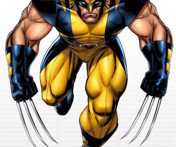 25 Most Interesting Facts About The Wolverine