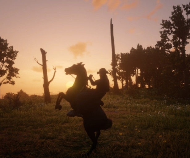 RDO Best Horses, RDR2 Online Best Horses, RDO Black Arabian, RDR2 Black Arabian, RDO Horses, RDR2 Online Horses