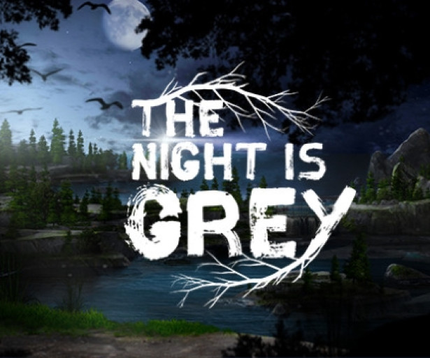 Be The Hero and Rescue the Damsel In Distress In the Point-and-Click Adventure Game -The Night Is Grey