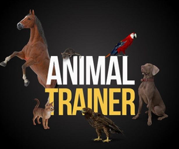 'Animal Trainer' Simulation Game Opens A Door Into the World of Working With Man's Best Friends