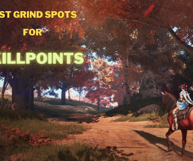 Best Black Desert Online Grind Spots For Skill points XP